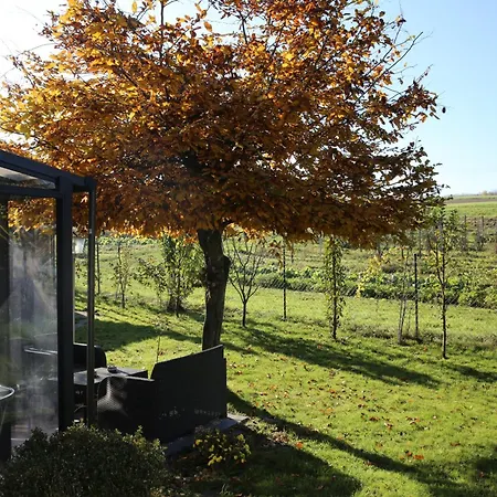 Отель Garni Alte Post Schallbach