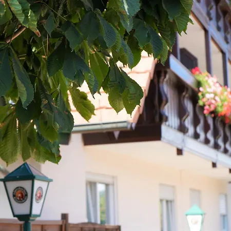 Hotel Garni Alte Post 3*