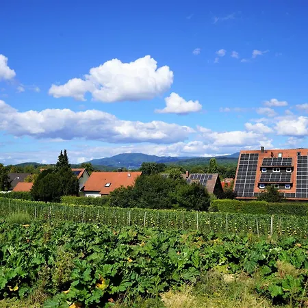 Hotel Garni Alte Post Schallbach