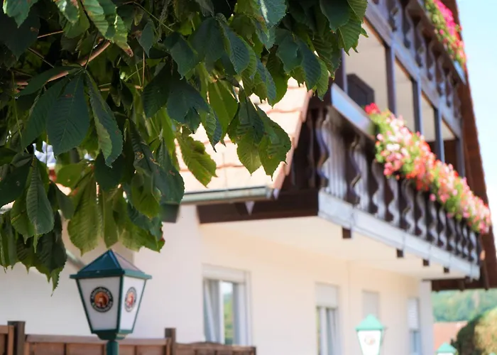 Hotel Garni Alte Post 3*