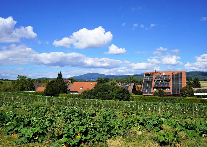 Hotel Garni Alte Post Schallbach